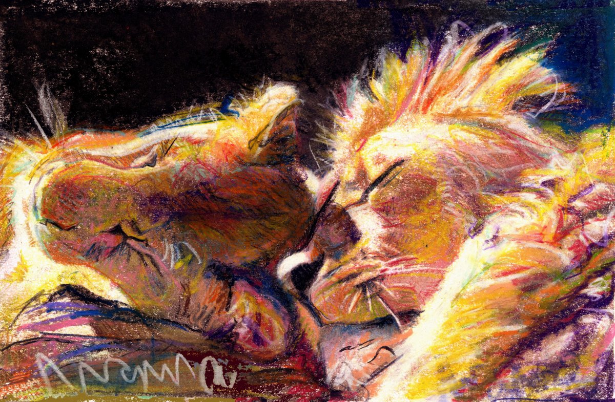 certitudes impériales 40 x 50