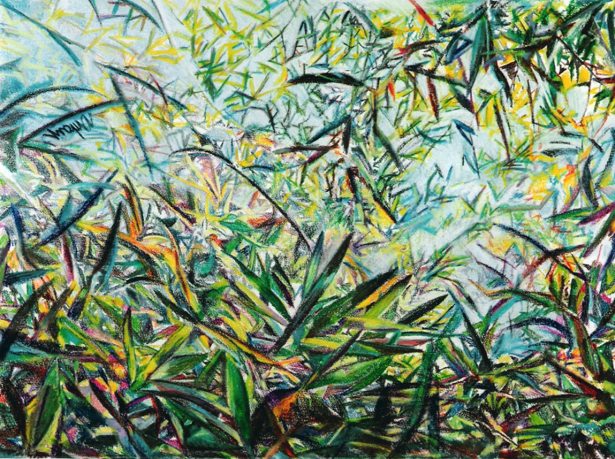 Bambous 60 x 80